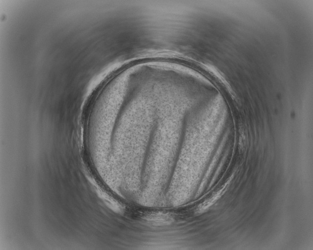 X0000087051414200705091124