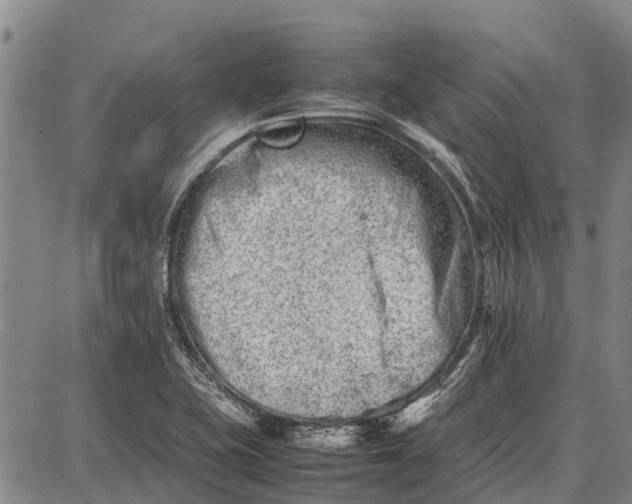 X0000087051415200705091124