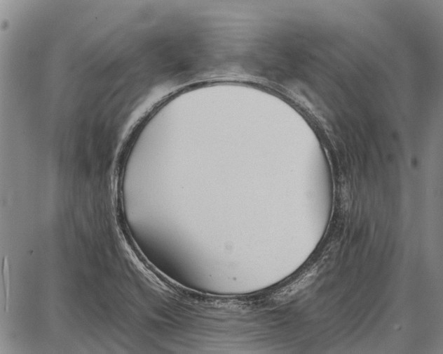 X0000087051416200705091124