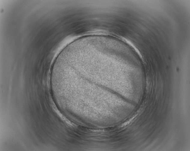 X0000087051421200705091124