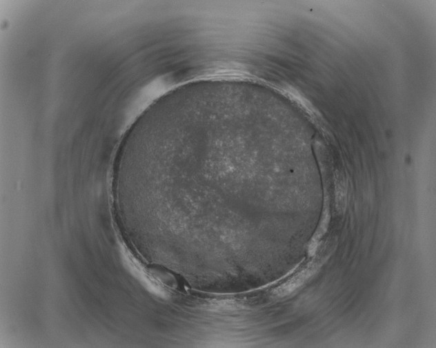 X0000087051422200705091124