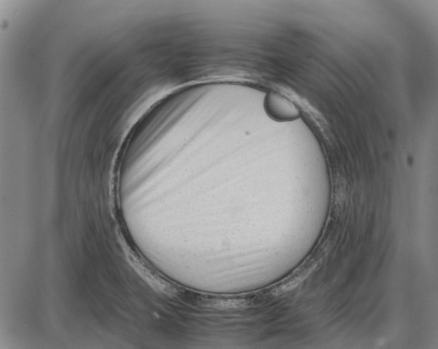 X0000087051423200705091124