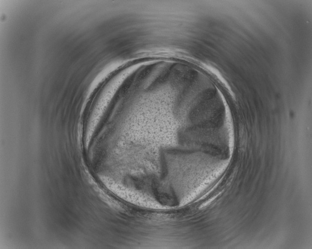 X0000087051424200705091124