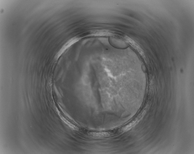 X0000087051425200705091124