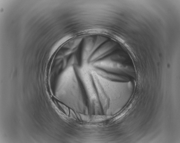 X0000087051426200705091124