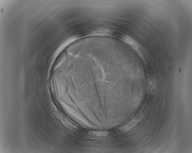 X0000087051427200705091124