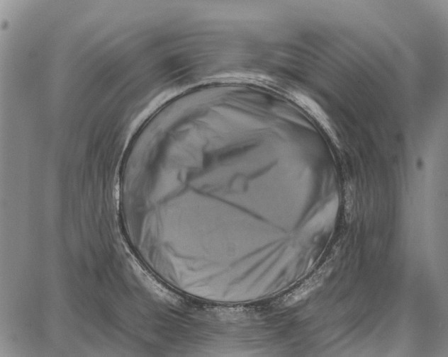 X0000087051428200705091124