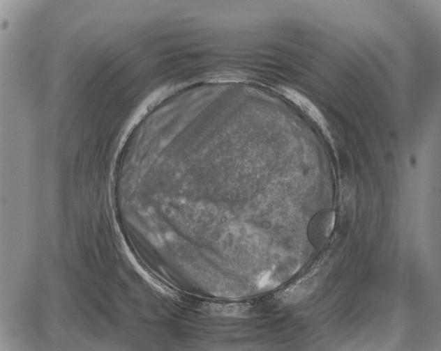 X0000087051429200705091124