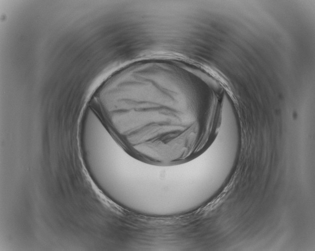 X0000087051430200705091124