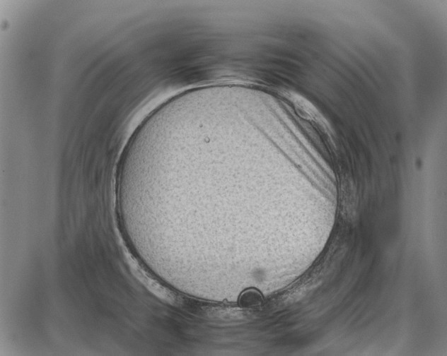 X0000087051431200705091124