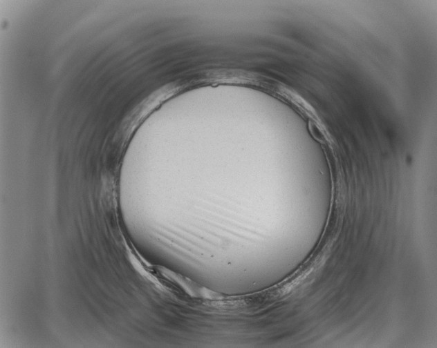 X0000087051433200705091124