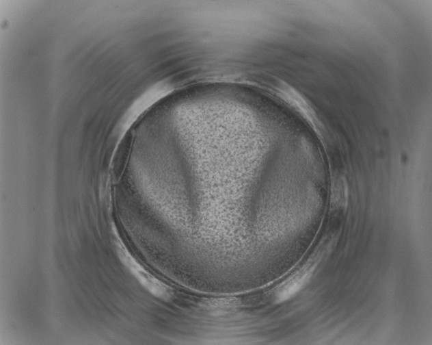 X0000087051434200705091124