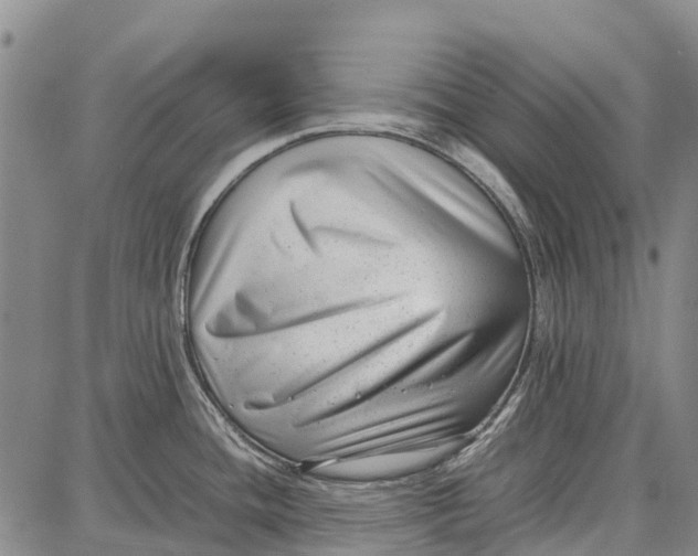 X0000087051436200705091124