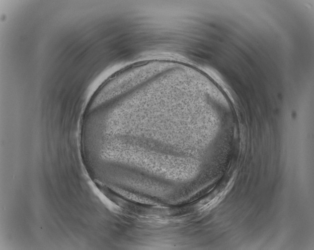 X0000087051438200705091125