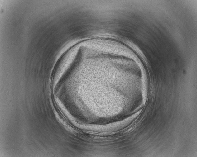 X0000087051439200705091125