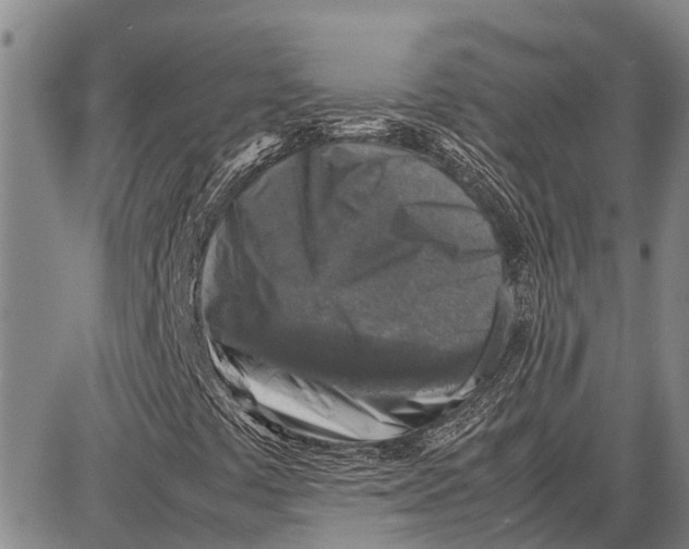 X0000087051441200705091124