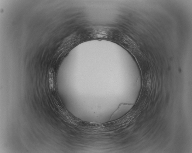 X0000087051442200705091124