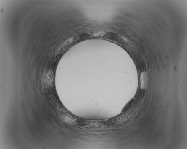 X0000087051443200705091124