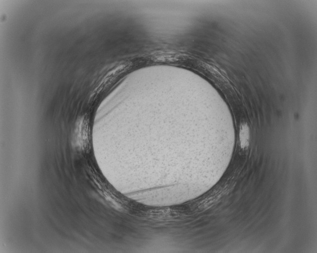 X0000087051444200705091124