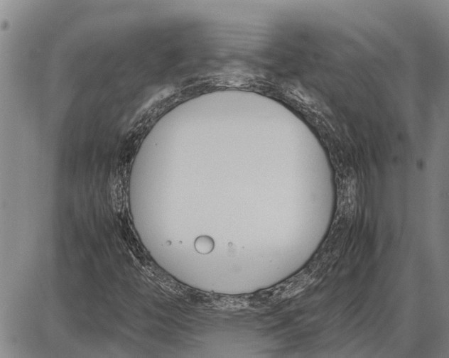 X0000087051446200705091124