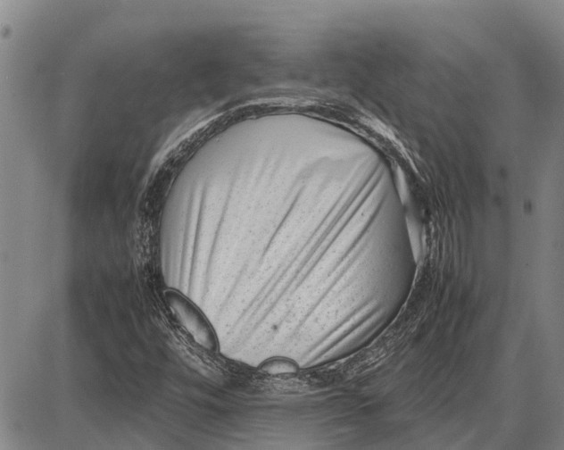 X0000087051448200705091124