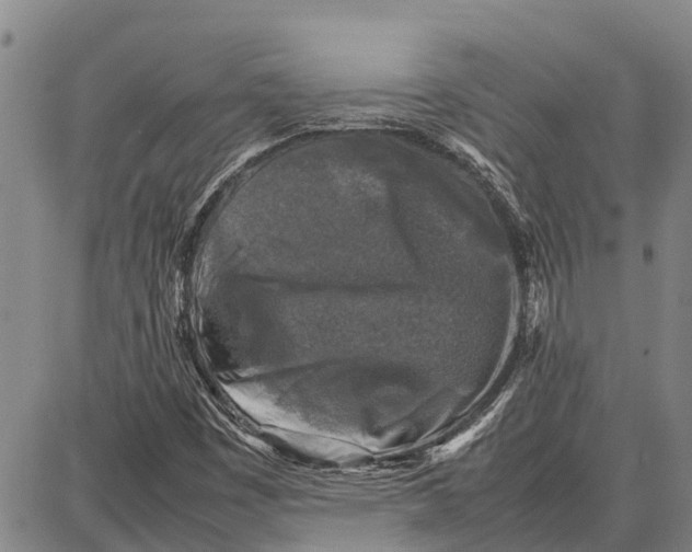 X0000087051449200705091124