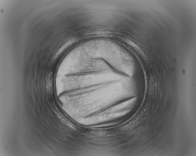 X0000087051450200705091124