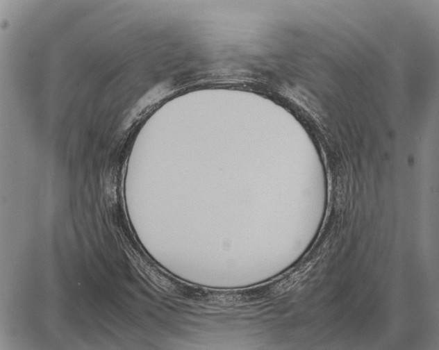 X0000087051451200705091124