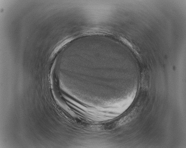 X0000087051453200705091124