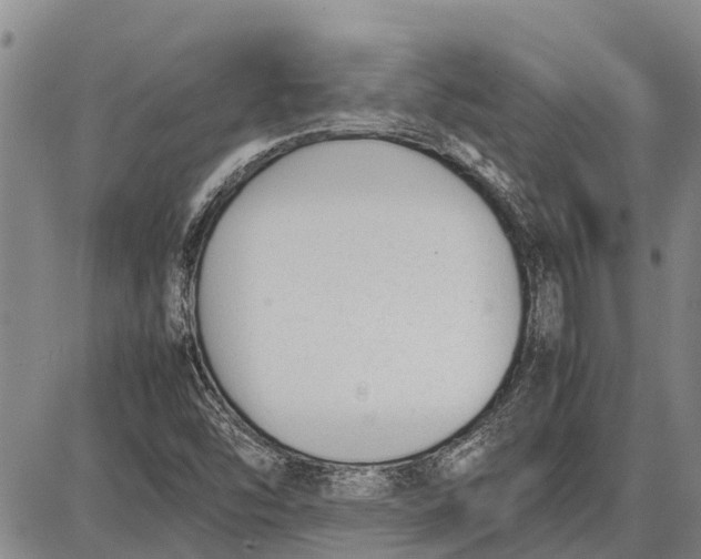 X0000087051454200705091124