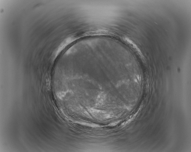 X0000087051457200705091124