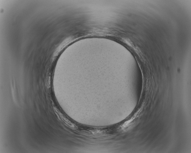 X0000087051459200705091123