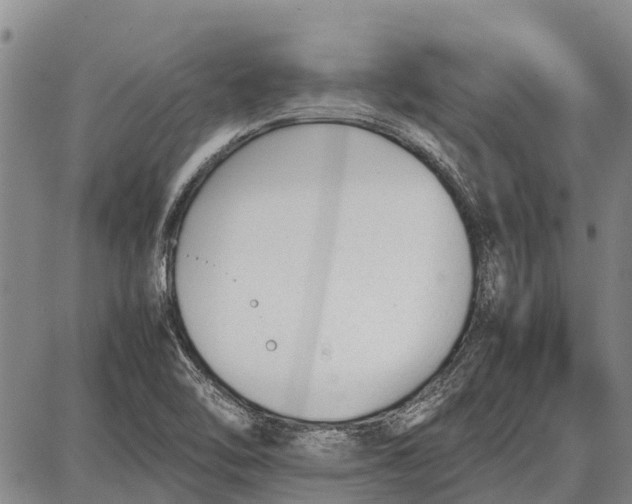 X0000087051462200705091123