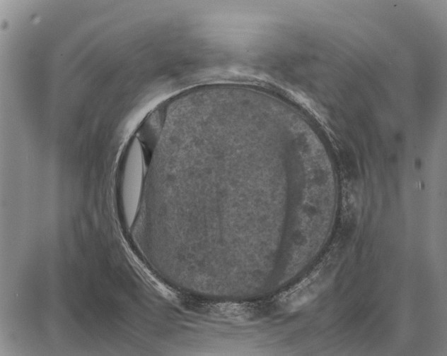 X0000087051463200705091123