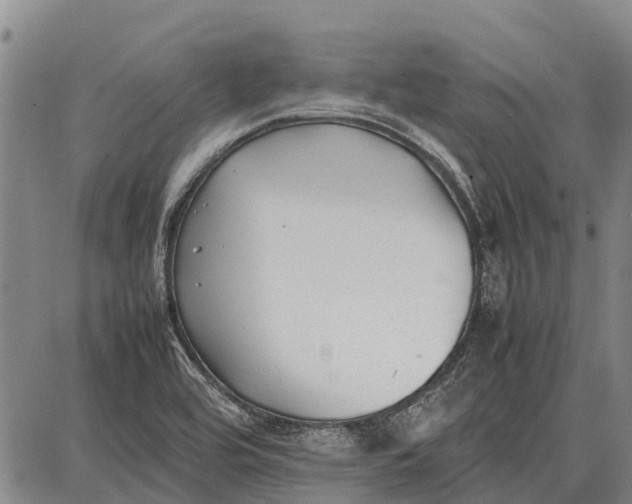 X0000087051464200705091123