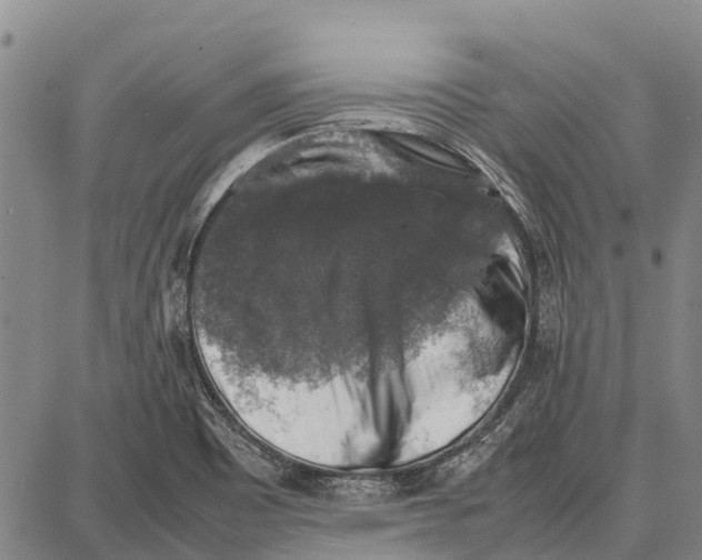 X0000087051465200705091123