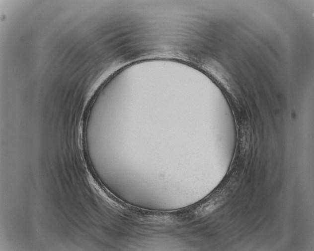 X0000087051468200705091123