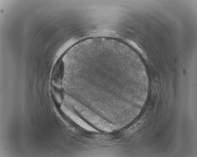 X0000087051469200705091123