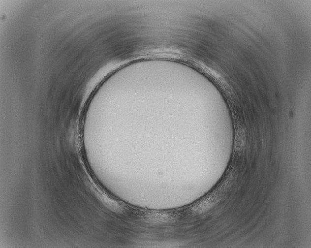 X0000087051470200705091123