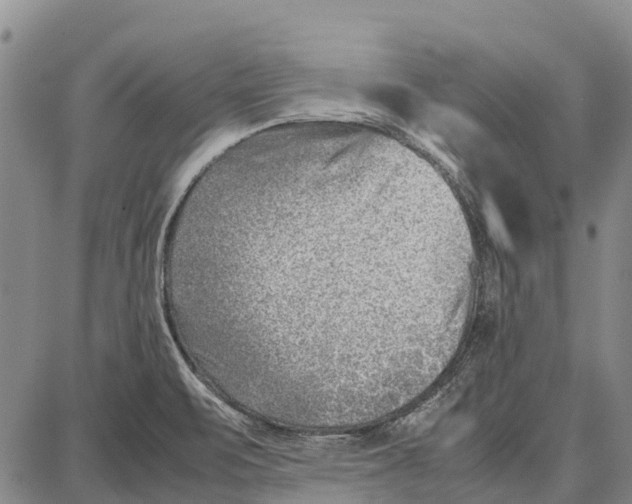 X0000087051471200705091123