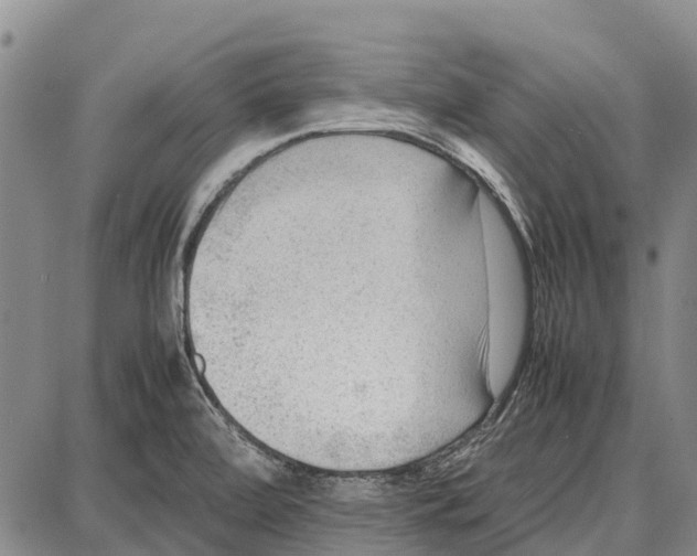 X0000087051472200705091123