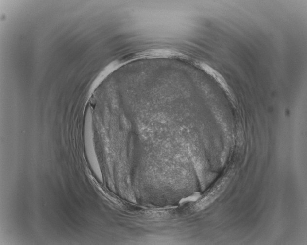 X0000087051473200705091123