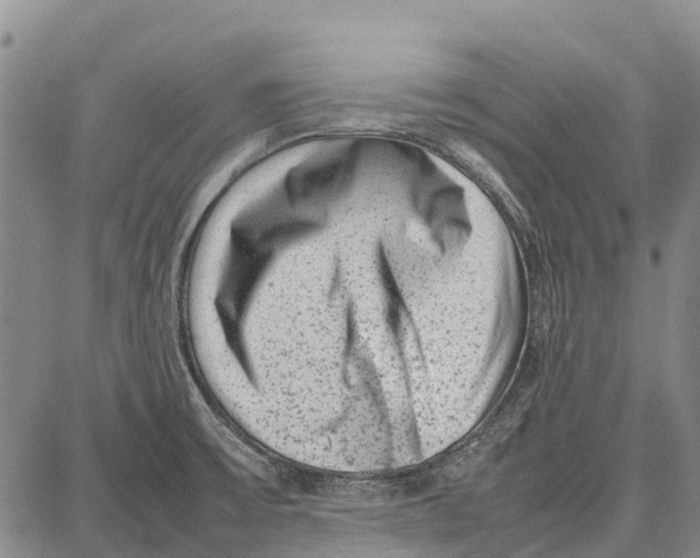 X0000087051475200705091123