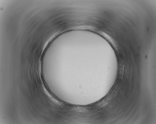 X0000087051476200705091123