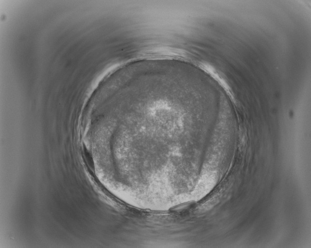 X0000087051477200705091123