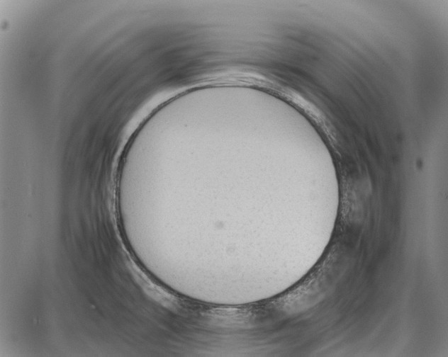 X0000087051478200705091123