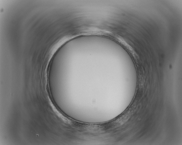 X0000087051479200705091123