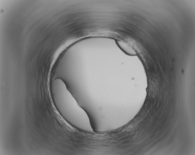 X0000087051480200705091123