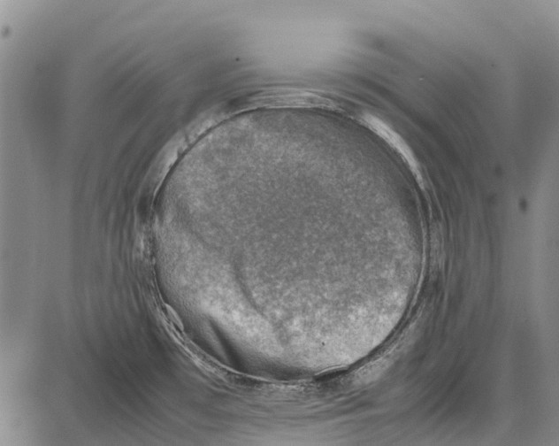 X0000087051481200705091123