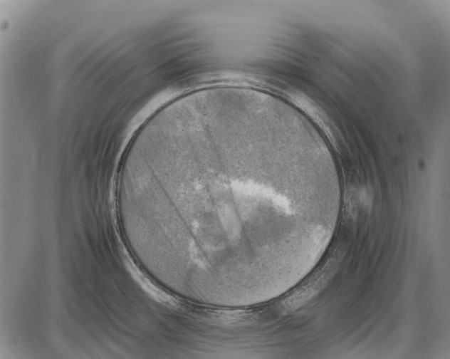 X0000087051482200705091123